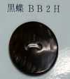 BB2H 2 Holes, Borderless, Shell Button