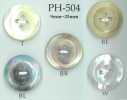 PH504 4-hole Wide Shell Button