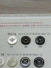 ES114 DAIYA BUTTONS Shell-like Polyester Button DAIYA BUTTON(DAIYA BUTTON) Sub Photo