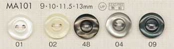 MA101 DAIYA BUTTONS Shell Polyester Buttons