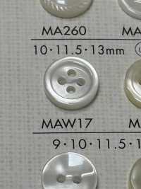 MAW17 DAIYA BUTTONS Shell-like Polyester Button DAIYA BUTTON(DAIYA BUTTON) Sub Photo