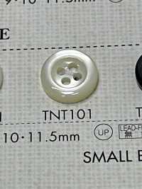 TNT101 DAIYA BUTTONS Heat-resistant Shell Polyester Button DAIYA BUTTON Sub Photo