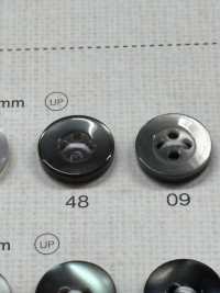 NRS18 DAIYA BUTTONS Shell-like Polyester Button DAIYA BUTTON Sub Photo