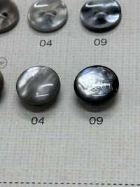 SU106 DAIYA BUTTONS Shell-like Polyester Button DAIYA BUTTON Sub Photo