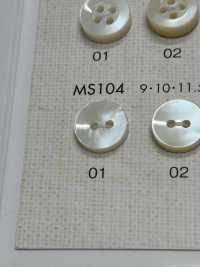 MS104 DAIYA BUTTONS Shell-like Polyester Button DAIYA BUTTON Sub Photo