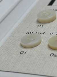 MS104 DAIYA BUTTONS Shell-like Polyester Button DAIYA BUTTON Sub Photo