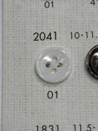 2041 DAIYA BUTTONS Shell-like Polyester Button DAIYA BUTTON Sub Photo