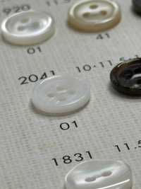 2041 DAIYA BUTTONS Shell-like Polyester Button DAIYA BUTTON Sub Photo