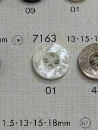 7163 DAIYA BUTTONS Shell-like Polyester Button DAIYA BUTTON(DAIYA BUTTON) Sub Photo