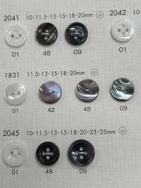 1831 DAIYA BUTTONS Shell-like Polyester Button DAIYA BUTTON Sub Photo