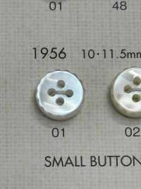 1956 DAIYA BUTTONS Shell-like Polyester Button DAIYA BUTTON(DAIYA BUTTON) Sub Photo