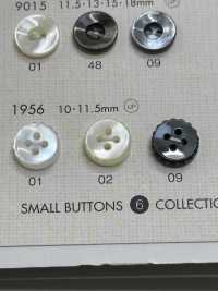 1956 DAIYA BUTTONS Shell-like Polyester Button DAIYA BUTTON(DAIYA BUTTON) Sub Photo