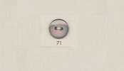 71 DAIYA BUTTONS Two- Mother Of Pearl Shell Of-polyester Buttons
