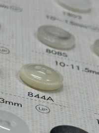 844A DAIYA BUTTONS Two Shell Polyester Button DAIYA BUTTON(DAIYA BUTTON) Sub Photo