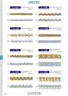 113-124 Metallic Lame Braid Approx. 8 Mm