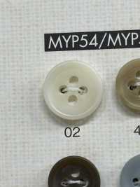 MYP53 Simple Glossy 4-hole Polyester Button DAIYA BUTTON Sub Photo