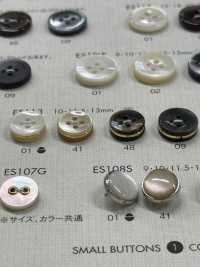 ES113 Luxury Shell-like Polyester Button DAIYA BUTTON Sub Photo