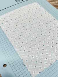 T26090-1 Cotton Lace AO Off White[Textile / Fabric] Kyowa Lace Sub Photo