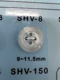 SHV8 4-hole, Bordered Shell Button DAIYA BUTTON Sub Photo