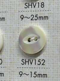 SHV152 2-hole Shell Button DAIYA BUTTON Sub Photo