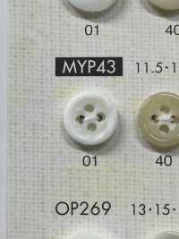 MYP43 Polyester Resin Bordered 4-hole Button Sub Photo