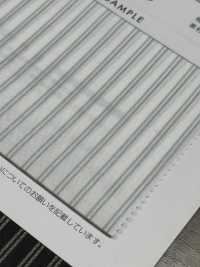 NY530 Striped Lining No Name Sub Photo