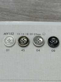 MY152 DAIYA BUTTONS Bordered Four Shell Polyester Button DAIYA BUTTON Sub Photo