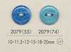 2079 Two-hole Button