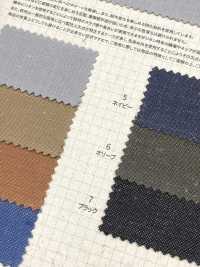 5200 Fujikinbai Kinume No. 11 Canvas Linen Chambray[Textile / Fabric] Fuji Gold Plum Sub Photo