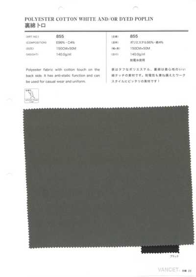855 Cotton-backed Tropical