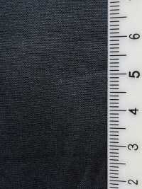 1257 50 Combed Broadcloth Glossy Crisps[Textile / Fabric] VANCET Sub Photo