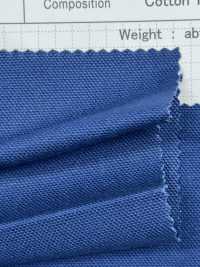 4438 Vintage Oxford[Textile / Fabric] SHIBAYA Sub Photo