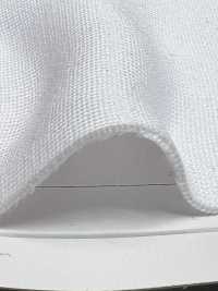 PF315 150d Polyester Full Needle Rib Knit NEXT30 Sub Photo