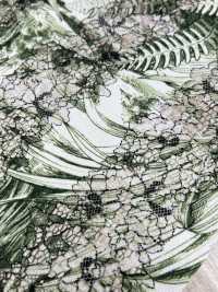 54033-2 Lace Print Botanical Pattern[Textile / Fabric] SAKURA COMPANY Sub Photo