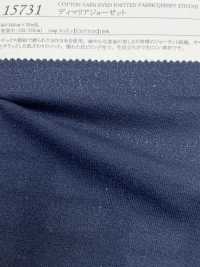15731 Di Maria Georgette[Textile / Fabric] SUNWELL Sub Photo