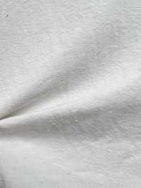 BD3028-P Organic Cotton X Silk Nep Weather Cloth Omi Bleaching[Textile / Fabric] COSMO TEXTILE Sub Photo