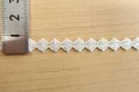 DS2794 Lame Lace Braid Width 9mm Pre-blanched[Ribbon Tape Cord] Daisada Sub Photo