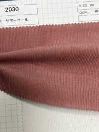 2030 22W Light Summer Corduroy[Textile / Fabric] Kumoi Beauty (Chubu Velveteen Corduroy) Sub Photo