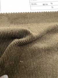 7500 16W Trousers Corduroy[Textile / Fabric] Kumoi Beauty (Chubu Velveteen Corduroy) Sub Photo