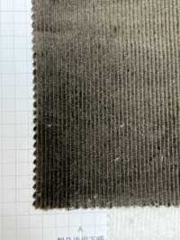 7500 16W Trousers Corduroy[Textile / Fabric] Kumoi Beauty (Chubu Velveteen Corduroy) Sub Photo