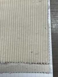 KN7080OG 9W Organic Corduroy Corduroy Natural (Off-White) [outlet][Textile / Fabric] Kumoi Beauty (Chubu Velveteen Corduroy) Sub Photo