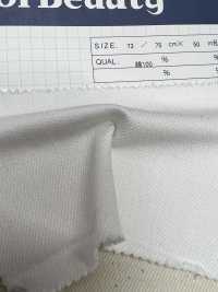 SF24023-10 12oz Selvedge Denim (RG Processing) Drill(3/1)[Textile / Fabric] Kumoi Beauty (Chubu Velveteen Corduroy) Sub Photo