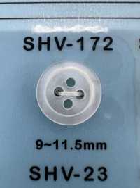 SHV172 4-hole, Bordered Shell Button DAIYA BUTTON Sub Photo