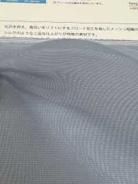 6120-FT Refined Mesh Organza[Textile / Fabric] Suncorona Oda Sub Photo