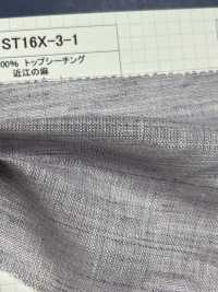 ST16X-3-1 100% Linen Loomstate Ohmi Linen[Textile / Fabric] Kumoi Beauty (Chubu Velveteen Corduroy) Sub Photo