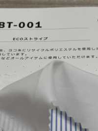 SBT-001 ECO Stripe[Textile / Fabric] Kuwamura Fiber Sub Photo