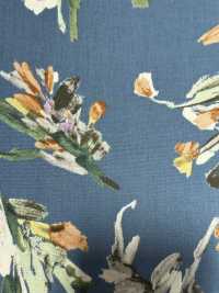 4024-250-1 40 Broadcloth Vintage[Textile / Fabric] HOKKOH Sub Photo