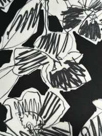 4024-250-3 40 Broadcloth Vintage[Textile / Fabric] HOKKOH Sub Photo