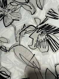 4024-250-3 40 Broadcloth Vintage[Textile / Fabric] HOKKOH Sub Photo
