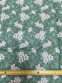 4022-848-1 Lawn Embroidery[Textile / Fabric] HOKKOH Sub Photo